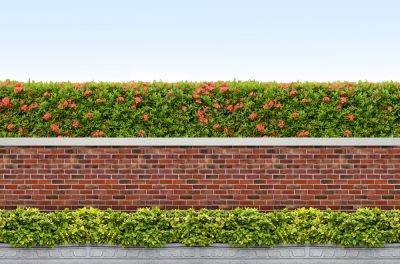 Bring Natural Beauty and Structure